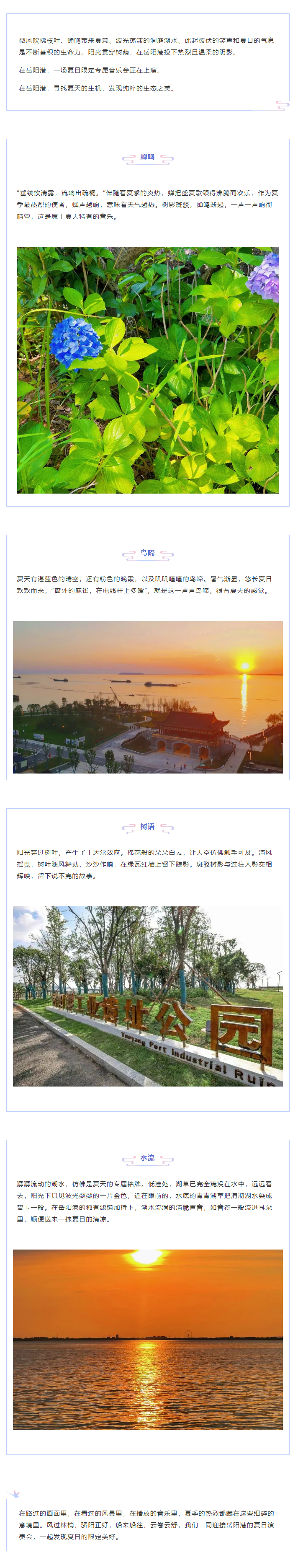 【夏日演奏會】在岳陽港，聆聽夏天的聲音.png